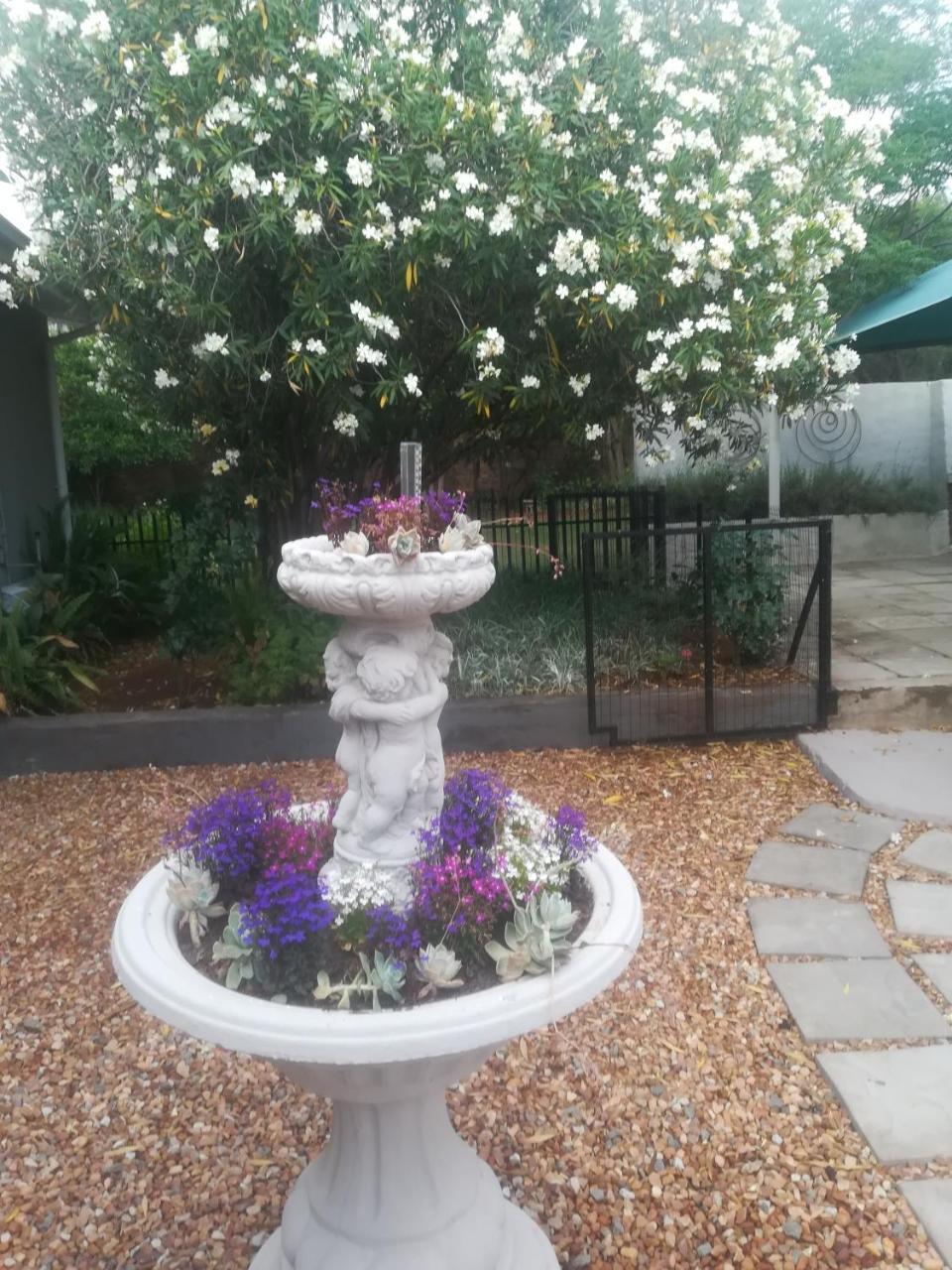 Mulberry Place Cradock Exterior foto